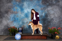 Shikoku #5 Sat BIOpenShow Judge Elizabeth ‘Beth’ Sweigart