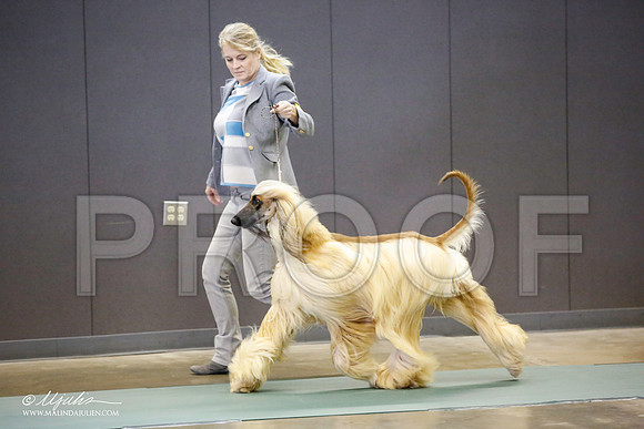 _JN_3711-BeltonJan2015-HR3
