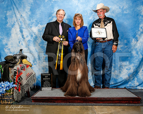 _ST_4613-2-AfgBeltonOct2014-HR3