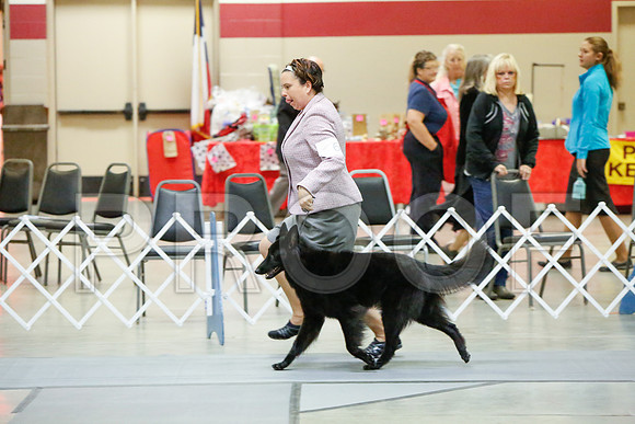_JJ_4253-AmarilloSept2014-HR3