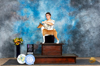 Basenji #J200 Sat OPSR1 Judge Judy Wade