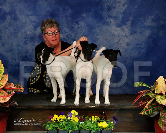 _J2_8667-NormNov2013-HR
