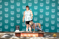 American Bully #124 Sun NCh Judge Cody Larum R