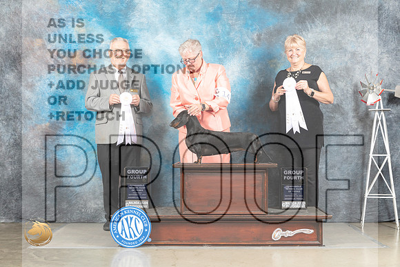 Dachshund Smooth #14 Fri G4 Judge Debra Thornton_MJ_4168_Amarillo_2022_HR3