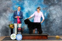 Bouvier #6 Sat G2 Judge Rick Gschwender