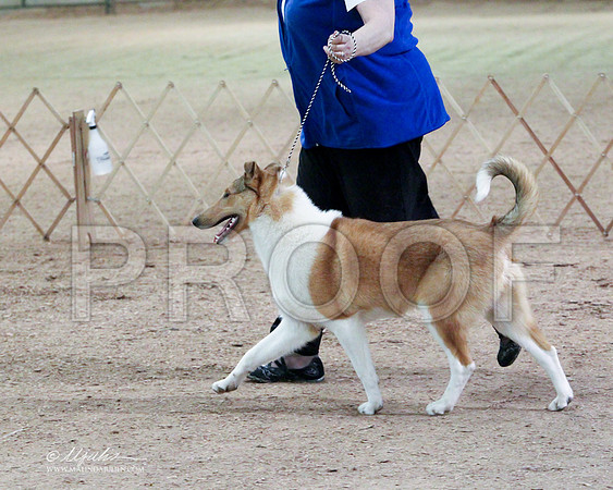 BPup-6625