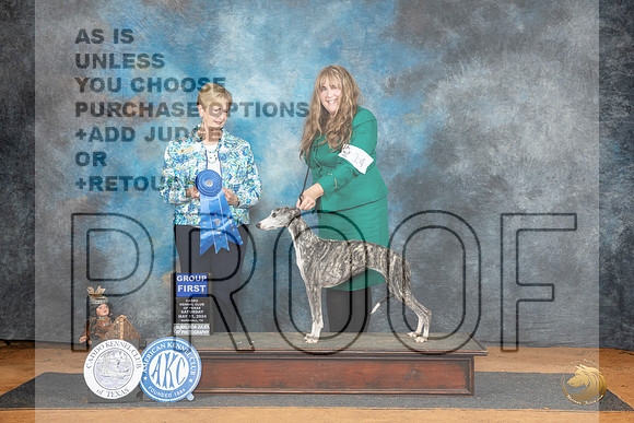 Whippet #14 Sat G1 Judge Karen Hynek__JP_8127_MARSHALL_2024_HR3