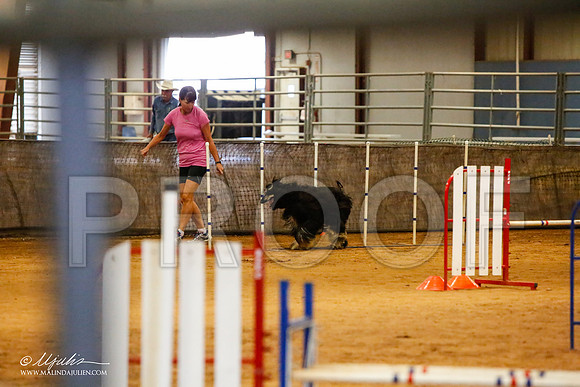 _MJ_2717-AfgBeltonOct2014-HR3