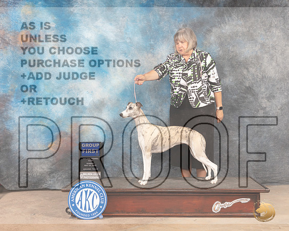 Whippet #16 Sun G1 Judge Lori Nelson-MMJ_4918-Abilene2022-HR3