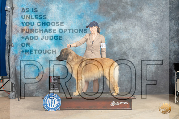 Leonburger #22 Fri WBBOSMaj Judge Joan Liebes-MMJ_2798-Addison2022-HR3