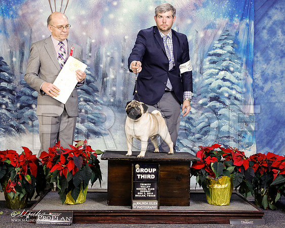 _ST_9454-2-DallasDec2014-HR3