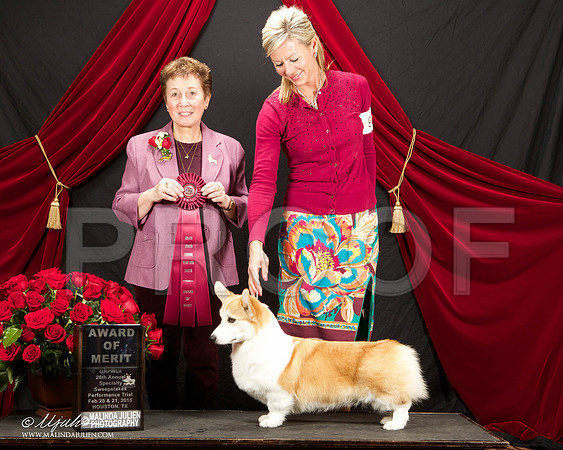 _ST_3437-HstnCorgiFeb2015-HR3