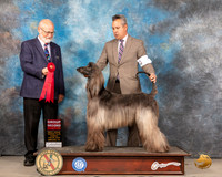 Afghan #14 Sun G2 Judge Gary Andersen