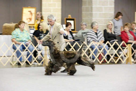_JJ_0667-AfgBeltonOct2014-HR3