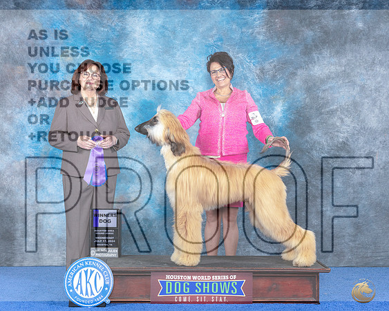 Afghan Hound #7 WED WD No Judge__JP_7031e_Houston_2024-HR3.jpg
