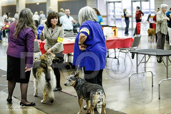 _JJ_7037-BeltonJan2015IABCA-HR3