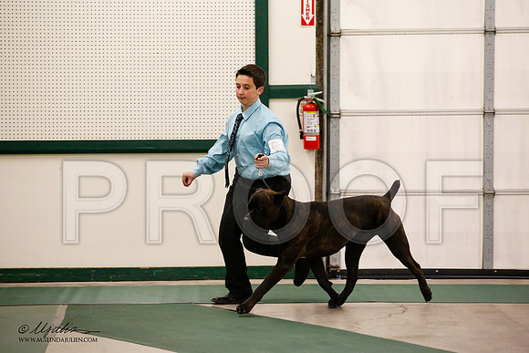 _JN_0637-NrmnNov2014-HR3