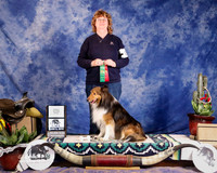 Shetland Sheepdog #072 Sat Open A 2nd Place Sherman Judy and Dennis Mcclelland Judge B Hornfisher
