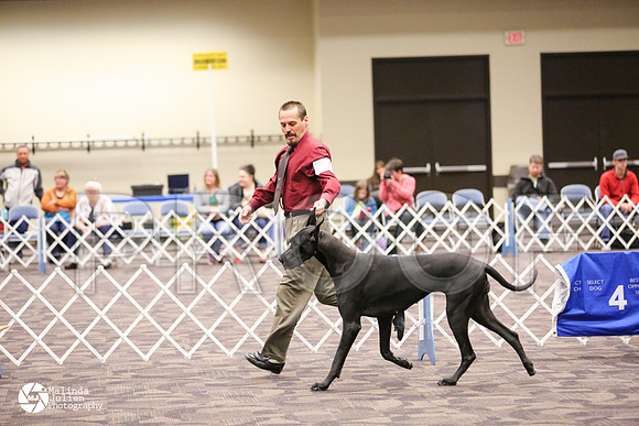 GRDA-4688-FWMar14-HR
