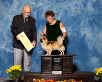 Tibetan Spaniels #5 Sat G3 Rodriguez Samuel J Judge Mr Gary L Andersen