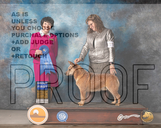 Australian Cattle Dog #15 Thurs G1 Judge Barbara AldermanMMJ_2598_Mdlnd2022_HR3