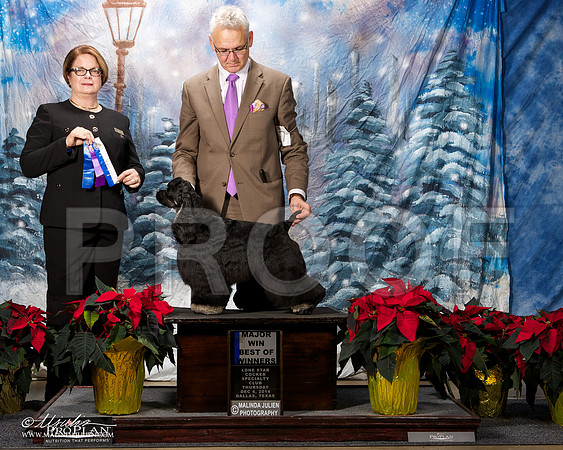 _ST_8048-DallasDec2014-HR3