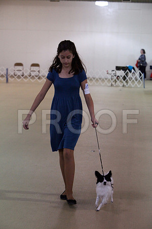 IMG_0053