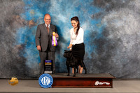 Staffordshire Bull Terrier #8 Wed BOB Judge John Constantine Amodei