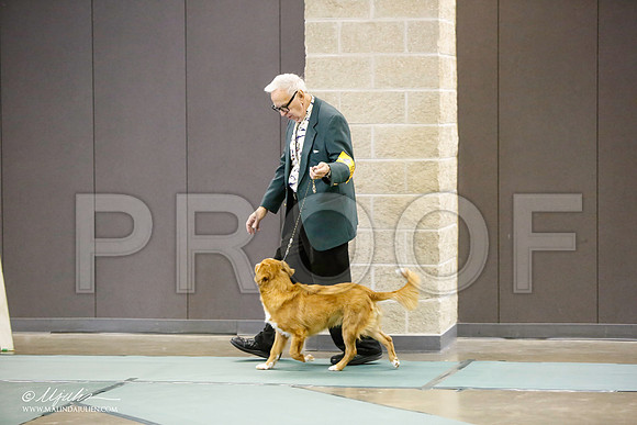 _LH_3088-BeltonJan2015-HR3