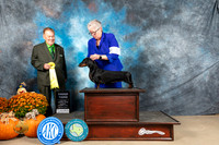 Dachshund Smooth #8 Sat G3 Judge Del Richards