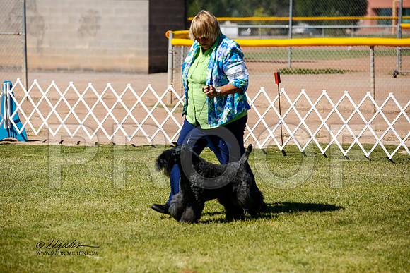 _JJ_3331-AlamogordoOct2014-HR3