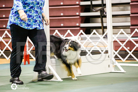 _JJ_4339-BsrCtyJun2014-HR3