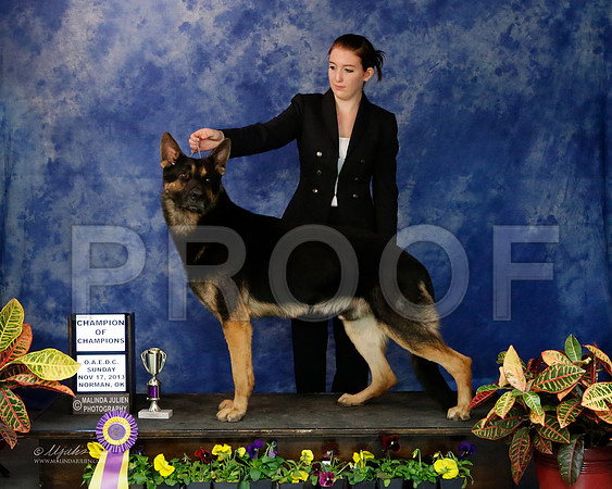 GSD-9382-NormNov13-HR