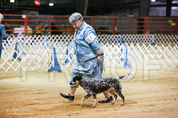 _JN_4674-2-GlenRoseJan2015-HR3