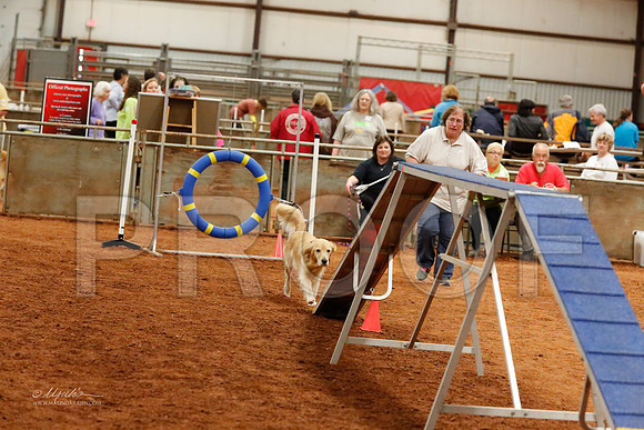 StdNov16-6607-WFOct2013-HR