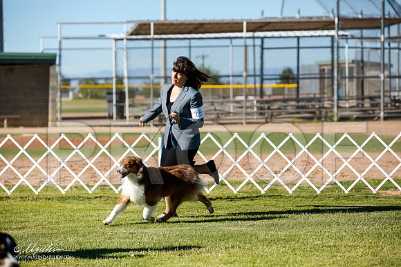 _JN_4038-AlamogordoOct2014-HR3
