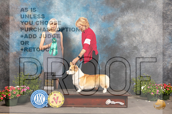 Pembroke Welsh Corgi #5 Sat OHG3 Judge Jan Paulk_MJ_0583_SA_2022_HR3