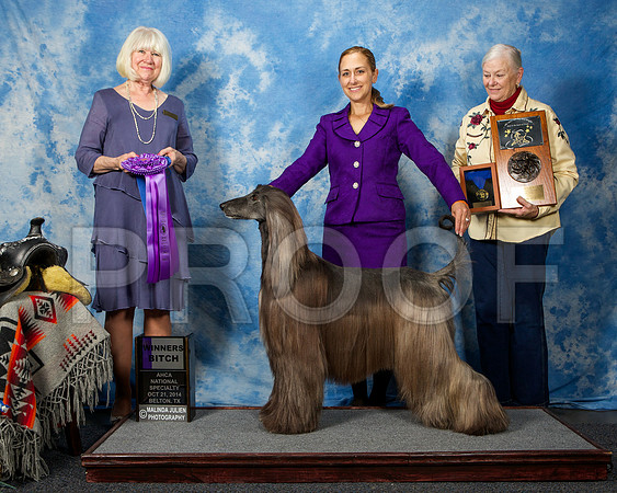 _ST_4540-AfgBeltonOct2014-HR3
