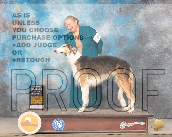 Borzoi #18 Sat OHG2 Judge Donnelle RichardsMMJ_4812_Mdlnd2022_HR3