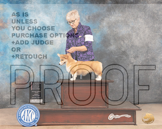 Pembroke Welsh Corgi #6 Fri PG2 Judge Thomason Stanfield Jr-MMJ_3034-Addison2022-HR3