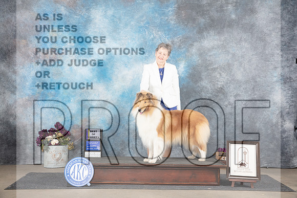 Collie Rough #20 Sat BOV Judge Sulie Greendale-Paveza__JP_7266_Belton_2024_HR3