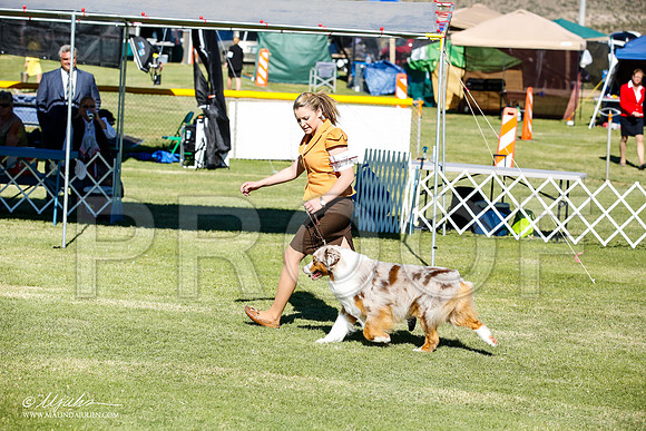 _JN_9462-AlamogordoOct2014-HR3