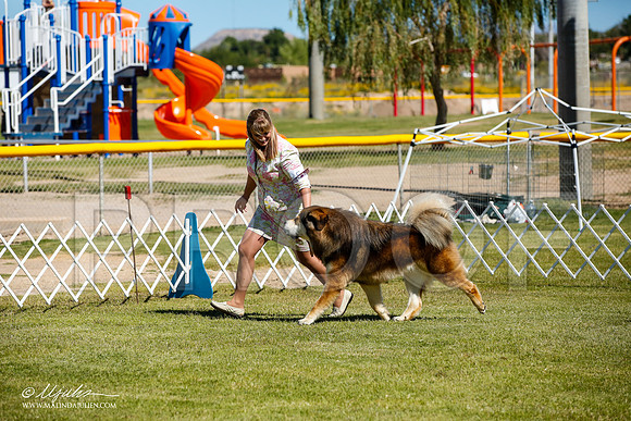 _JJ_0233-AlamogordoOct2014-HR3