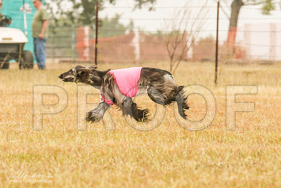 _MJ_3034-AfgBeltonOct2014-HR3