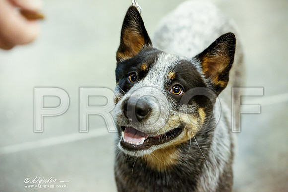 _JJ_5595-HstnJul2014-HR3