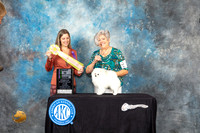 Pomeranian #14 Thur BISweeps Judge Jennifer Harper