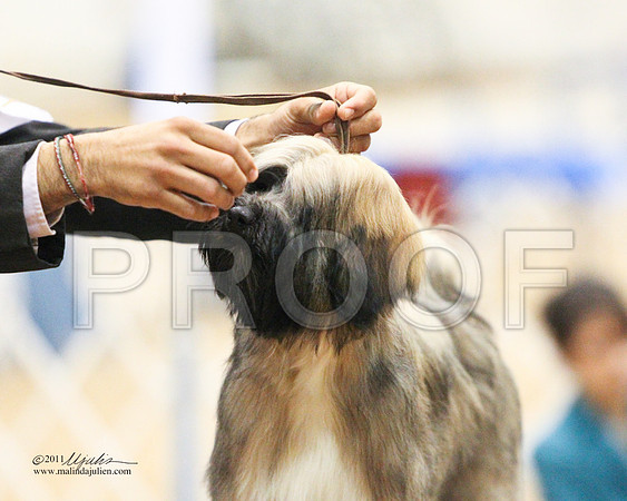 GrpNSFriPup-2379-LR