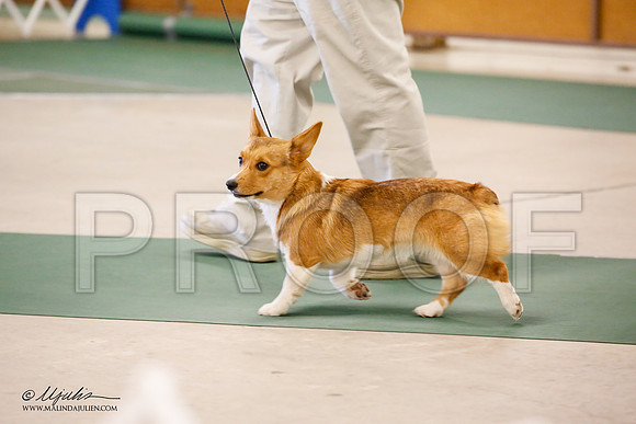 _JN_1741-NrmnNov2014-HR3
