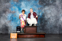 American Eskimo #253 Sat NTLCH Judge Nancy Gallant