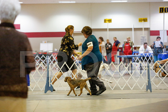 _JN_0266-AmarilloSept2014-HR3